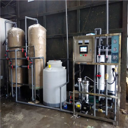 河源市達(dá)旺去離子水處理廠 15噸大型工業(yè)純水機(jī)助力噴涂清洗水高效凈化